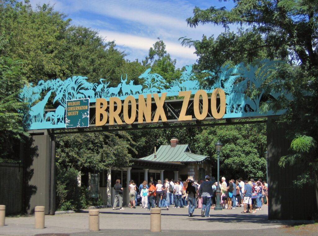 Visitors gathering under the Bronx Zoo's turquoise entrance arch, its metalwork cut into silhouettes of giraffes, gorillas and antelope.