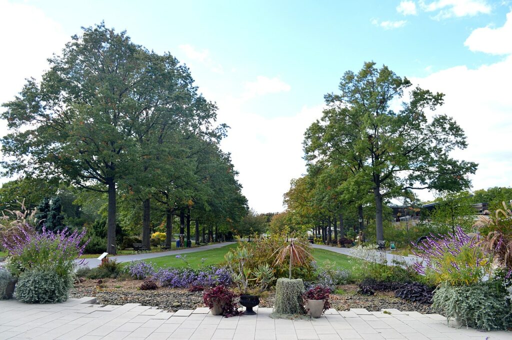 A path through the Queens Botanical Garden between deep flower borders in full summer growth.