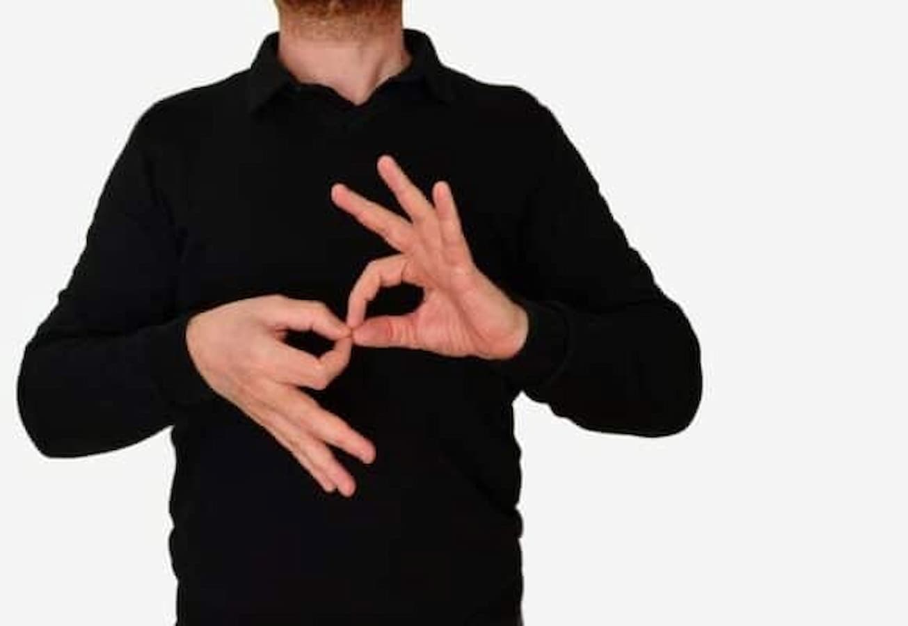 An American Sign Language Interpreter