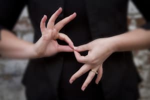 Sign Language Interpreting