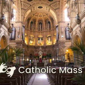 St Francis Catholic Mass Calendar