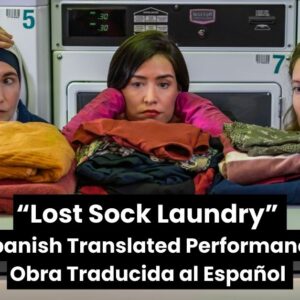 Lost Sock Laundry Calendar 3