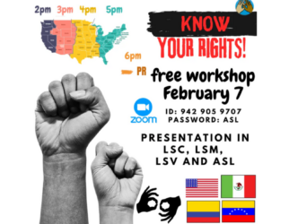 Know Your Rights poster