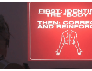 The Precarious Body poster